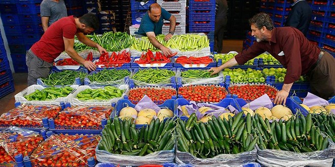 Avrupa T�rk biberine ko�tu - Son Dakika Haber