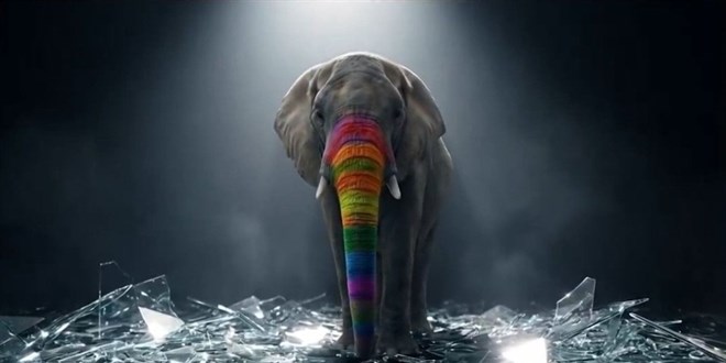 G�kku�a�� Fa�izmi, 18 Ocak'ta yay�nda