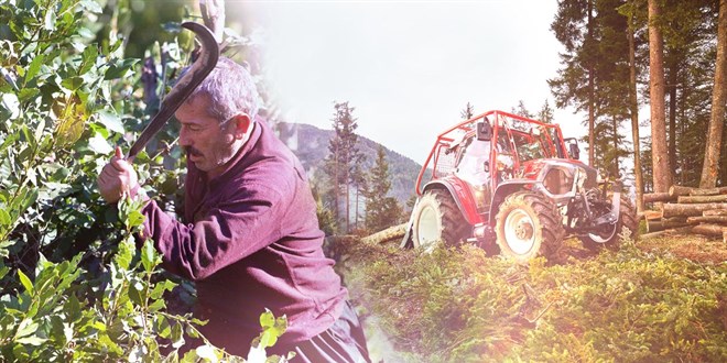 Orman k�yl�s� ailelere 2,55 milyar lira destek sa�land� - Son Dakika Haber