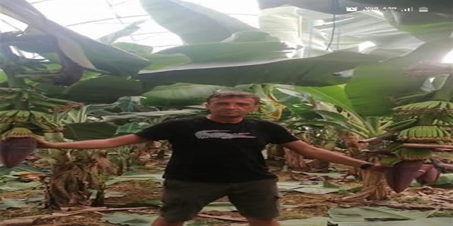 Ara�ta yanm�� cesedi bulunmu�tu, �ld�r�ld��� ortaya ��kt�