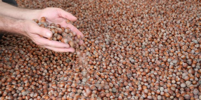 T�rk f�nd��� 2025'te 122 �lkeye ihra� edildi - Son Dakika Haber