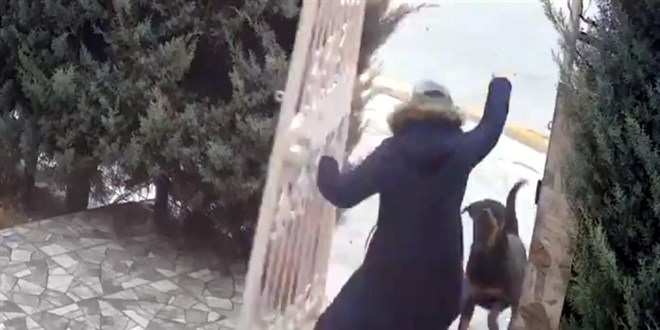 Sahipsiz k�peklerin sald�rd��� kad�n� kom�usu kurtard� - Son Dakika Haber