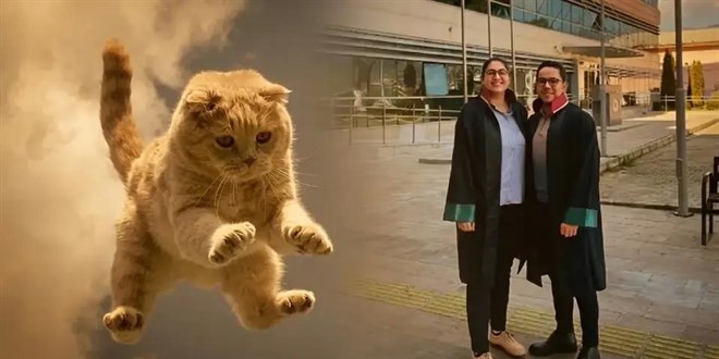 Hastanede �zerine kedi d��en kad�na 50 bin lira tazminat