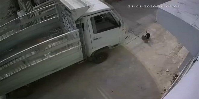 Adana'da kedi ezen s�r�c�ye "bar�nakta �al��ma" cezas�