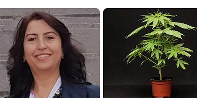 Kanser a��klamas� b�y�k ilgi toplayan Prof. Dilek �nan profes�r de�il mi?