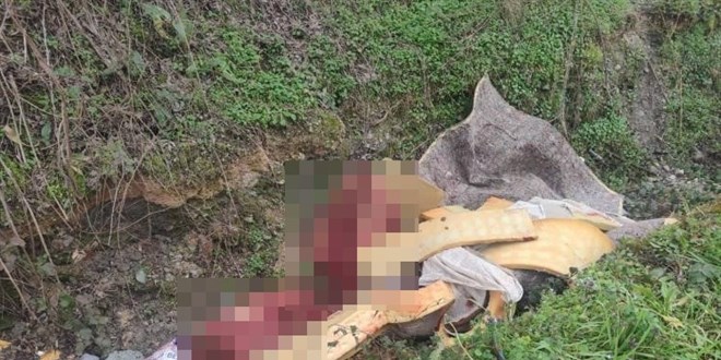 At kesim operasyonu! Otoyol kenar�na at�lan kemikler su� a��n� ortaya ��kard�