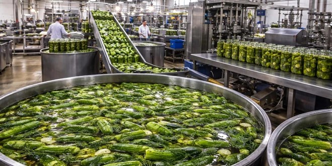 40 y�ll�k tur�u �reticisi konkordato ilan etti