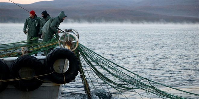 K���k �l�ekli bal�k�� destekleri i�in ba�vurular ba�lad� - Son Dakika Haber