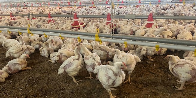 Kanatl� i�letmelerine yeni biyog�venlik zorunlulu�u