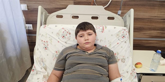 K�peklerin sald�r�s�nda yaralanan �ocuk tedavi alt�na al�nd� - Son Dakika Haber