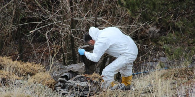 6 g�nd�r aranan ya�l� adam�n cesedi par�alanm�� halde bulundu