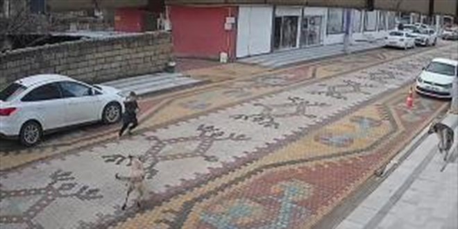 Ba��bo� sokak k�pe�inin sald�rd��� �ocu�u esnaf kurtard�