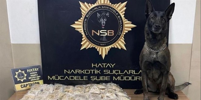 Zeytinya�� tenekelerinden 100 bin uyu�turucu hap ��kt� - Son Dakika Haber