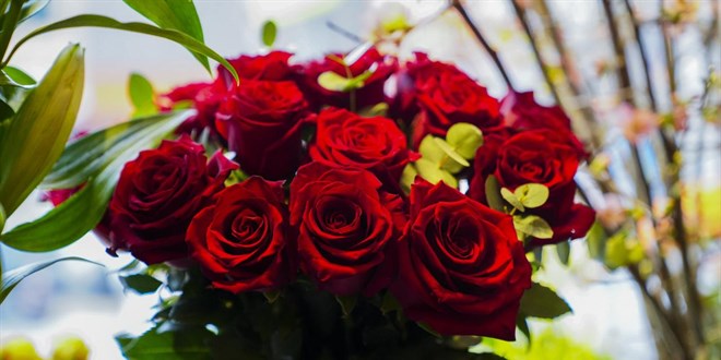 �i�ek�ilerde 14 �ubat mesaisi - Son Dakika Haber