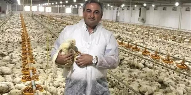 Kanatl� hayvan eti �reticilerinden 'zam' a��klamas�: 14 ayd�r yapm�yoruz! - Son Dakika Haber