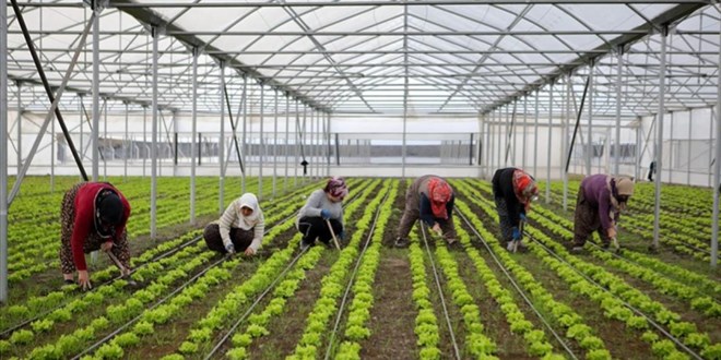 B�lgesel kalk�nma i�in 15,6 milyar liral�k yat�r�m yap�lacak - Son Dakika Haber