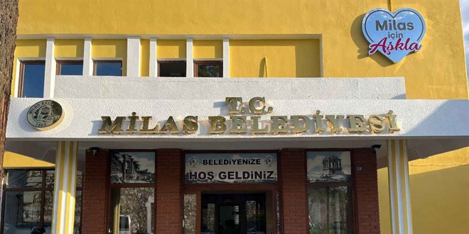 Milas'ta zeytin a�ac� kesiminde belediye ruhsat m�d�r� g�revden al�nd� - Son Dakika Haber