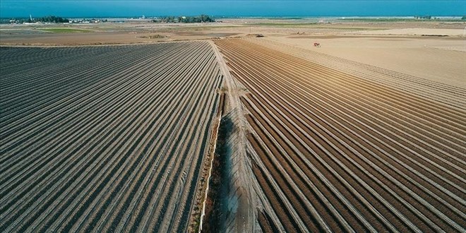 Hisseli Ortakl�klarda Fiili Taksime Dair �nemli Karar - Son Dakika Haber