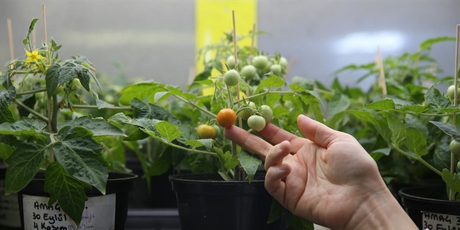 Uzay tar�m� i�in T�rkiye'den �nemli ad�m