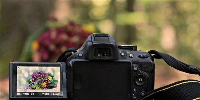 Getty ve Shutterstock birle�mesi ABD'den ye�il ���k ald� - Son Dakika Haber