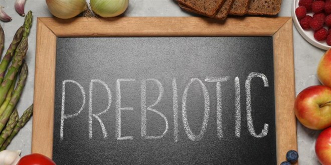 Probiyotika ile Ba��rsak Dengesine Destek - Son Dakika Haber