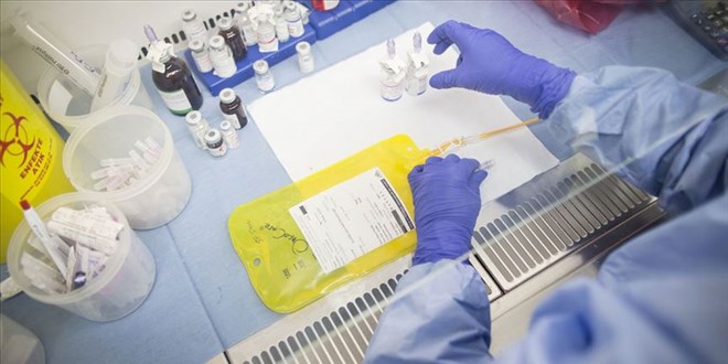 Nadir hastal�klar uyar�s�: T�rkiye'de her 16 ki�iden biri ta��y�c� - Son Dakika Haber