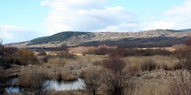 Tar�msal drenaj turbal�klar� 'karbon fabrikas�na' �eviriyor - Son Dakika Haber
