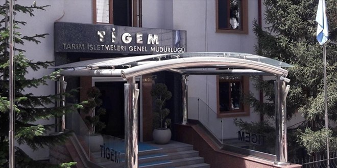 T�GEM 5 ton f�st�k �am� kozala��n� ihaleyle satacak