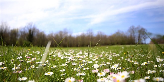 Son cemre toprakla bulu�tu