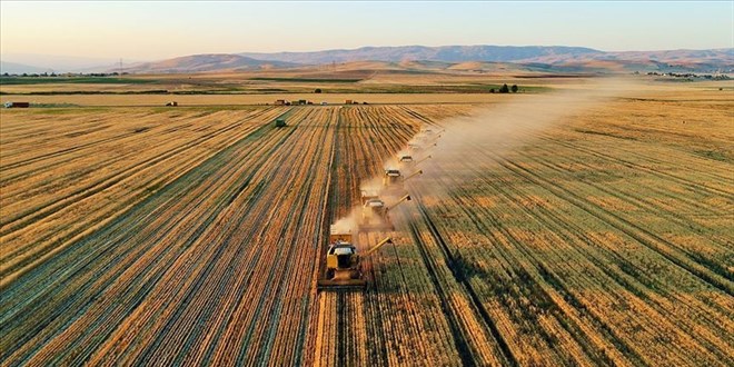 Nadasa b�rak�lan tar�m arazileri �retime kazand�r�lacak - Son Dakika Haber