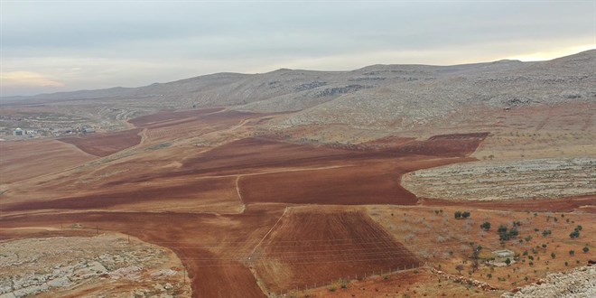 ��lenmeyen tar�m arazileri i�in d��meye bas�ld� - Son Dakika Haber