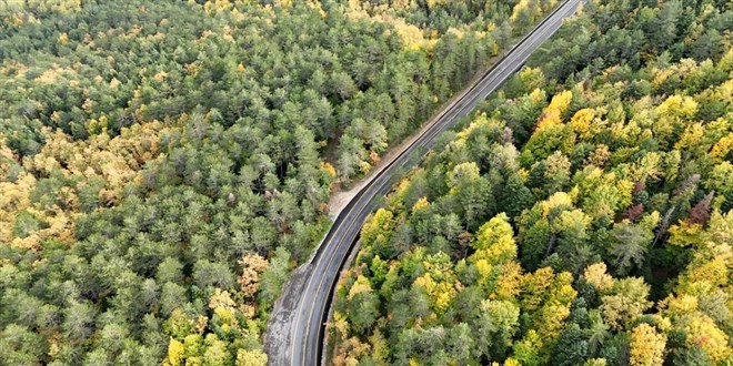 Ormanlar�n bak�m� ve gen�le�tirilmesine ge�en y�l 2,3 milyar lira harcand� - Son Dakika Haber