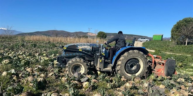 Pazarda 70 lira ama y�zbinlercesi tarlada ��r�d� - Son Dakika Haber