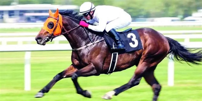 Yar�� at� kavurma yap�lan i� insan�na para cezas�