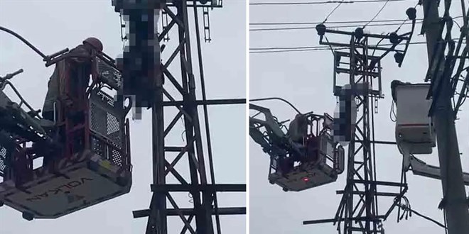 H�rs�zl�k i�in elektrik dire�ine ��kan ki�i ak�ma kap�larak �ld� - Son Dakika Haber