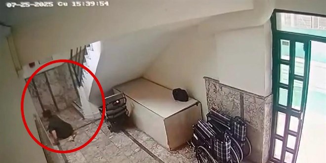 Antalya'da otizmli gence skandal: D����� gizlendi, k�r�k kal�ayla y�r�t�ld� - Son Dakika Haber