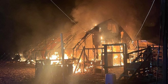 Bursa'da �iftlikte ��kan yang�nda �ok say�da hayvan telef oldu - Son Dakika Haber