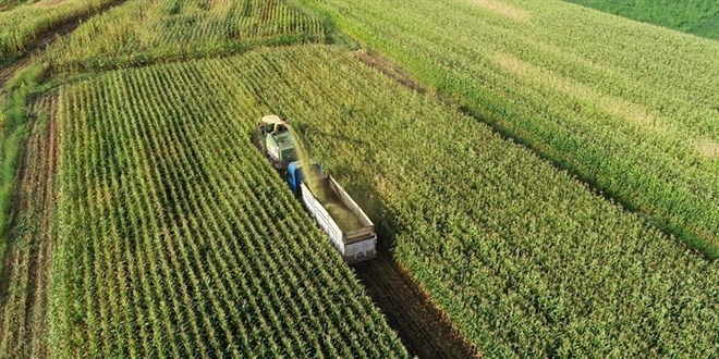 Tar�m'da �FE �ubatta artt�