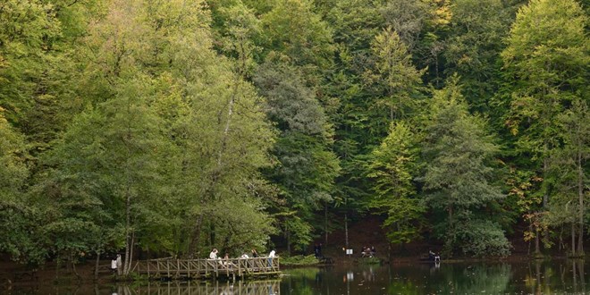 Milli parklarda yeni d�nem