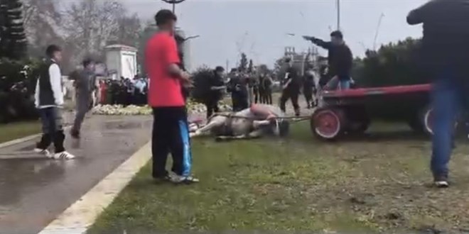 Atlara eziyet edenlere dikkat �eken ceza: Haftada 1 g�n bar�nak temizleyecekler - Son Dakika Haber