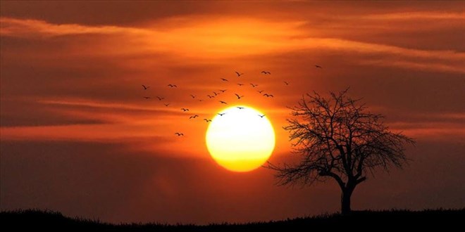 Kay�tlara g�re, son 11 y�l tarihin en s�cak y�llar� oldu