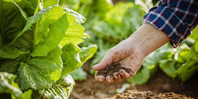 Tar�mda zararl�larla m�cadelede y�ntem �nerileri