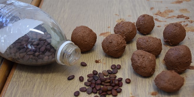 Lise ��rencilerinden �rnek proje: Yanan ormanlara 'tohum topu kalkan�!