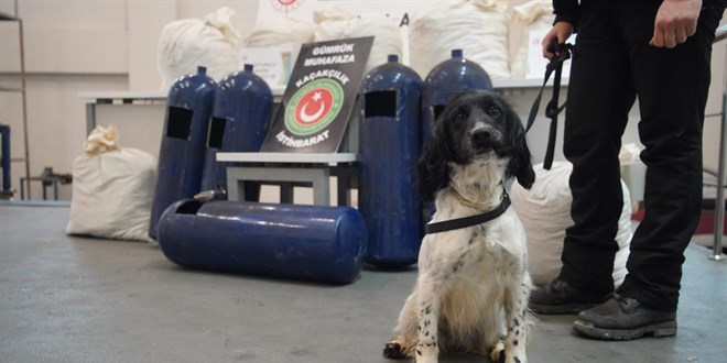 Hassas burunlar gizlenen uyu�turucular� buldu - Son Dakika Haber