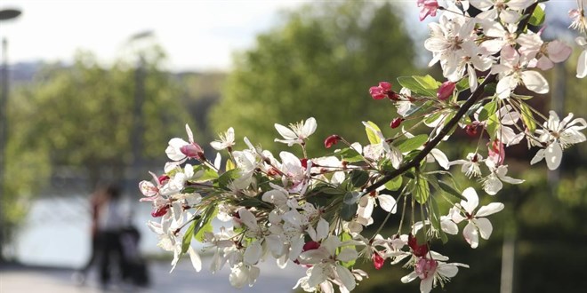 Baharda s�cakl�klar normallerin �zerinde olacak