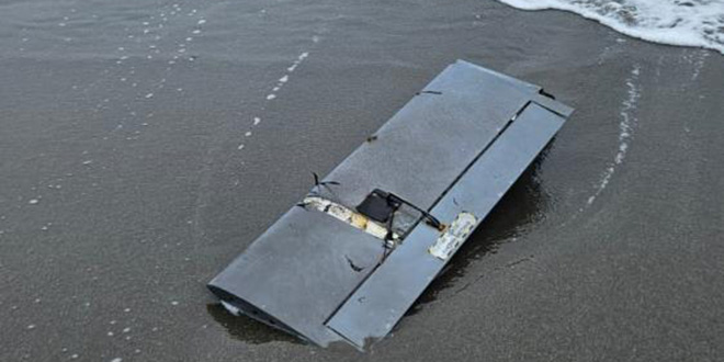 Sakarya'da sahile dron par�as� vurdu - Son Dakika Haber