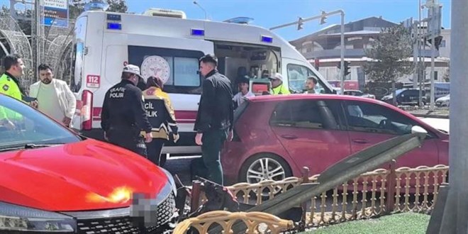 Arabada s�r�c�n�n �zerine atlayan k�pek kazaya neden oldu