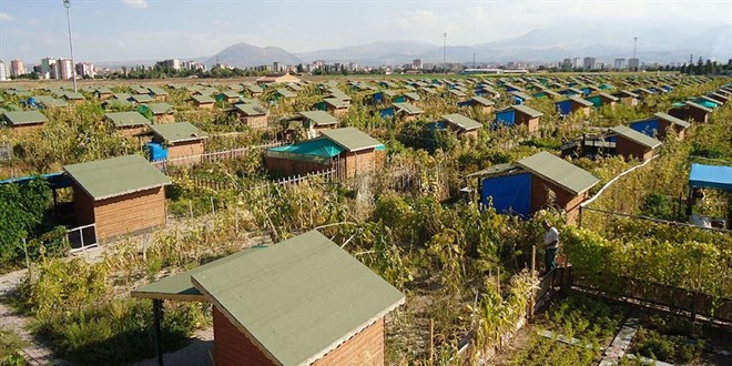 Hobi Bah�elerinin ��z�m� Ceza Kesmek midir? - Son Dakika Haber