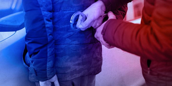 �zmir merkezli ter�r �rg�t� DEA� operasyonu: 9 g�zalt� - Son Dakika Haber