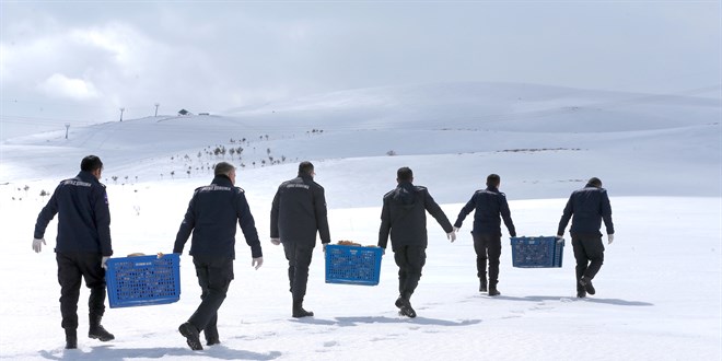 �nfaz ve koruma memurlar� s�f�r at�k ile do�aya can veriyor!